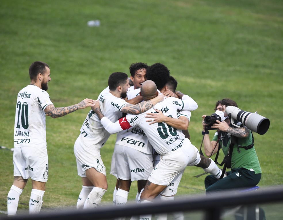 Jogadores comemorando gol do Palmeiras contra o Vasco. (Foto: André Durão)